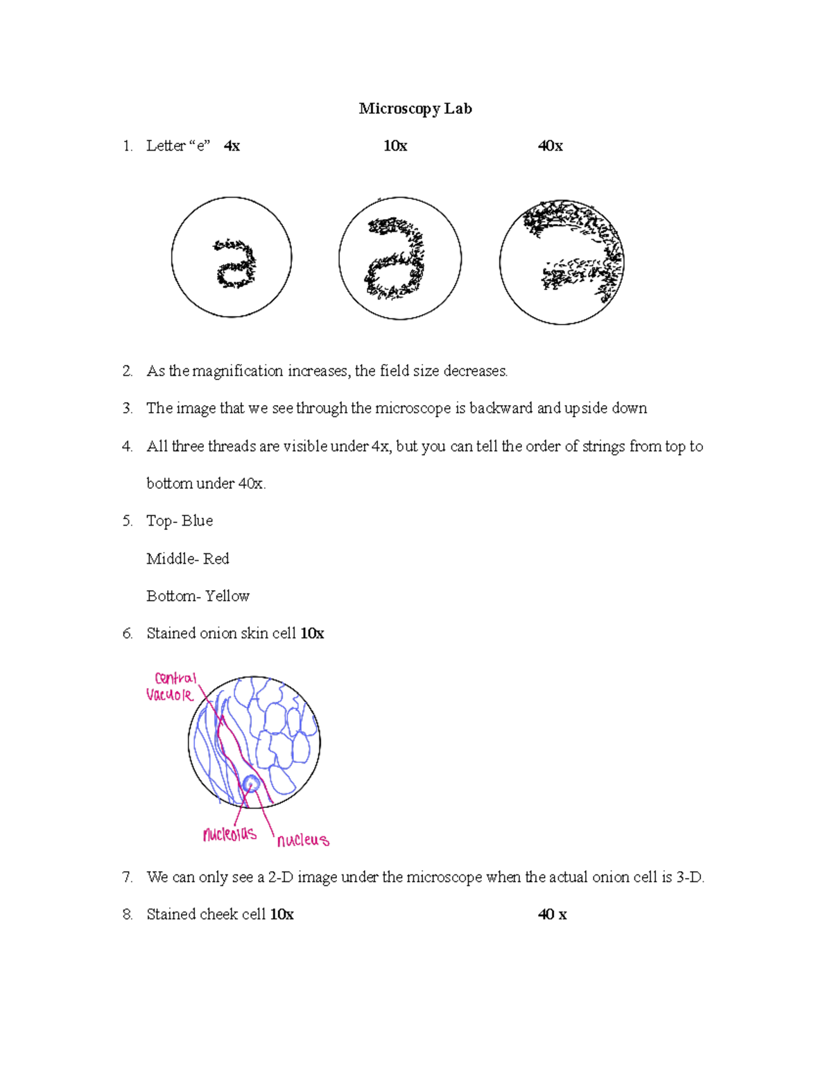 BIO202 Microscopy Lab Notes Magnification Resolution And Observations Studocu BIO202 Microscopy Lab Notes Magnification Resolution And Observations Studocu