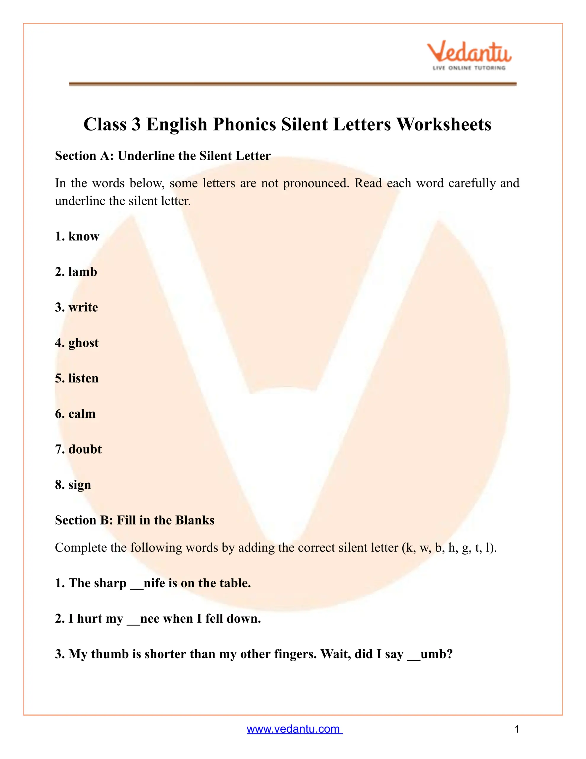 Class 3 English Phonics Silent Letters Worksheet PDF