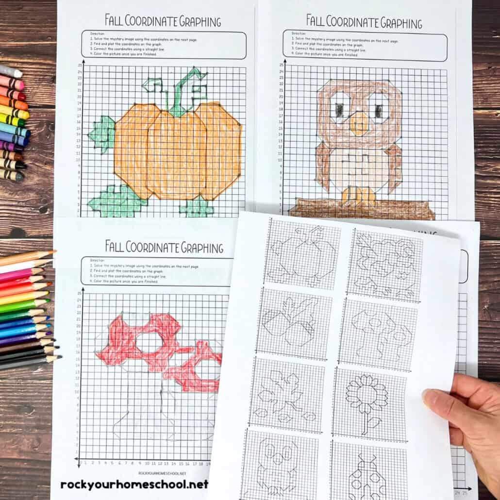 Fall Squirrel Coordinate Graphing Mystery Picture Autumn Math Activity Made By Teachers