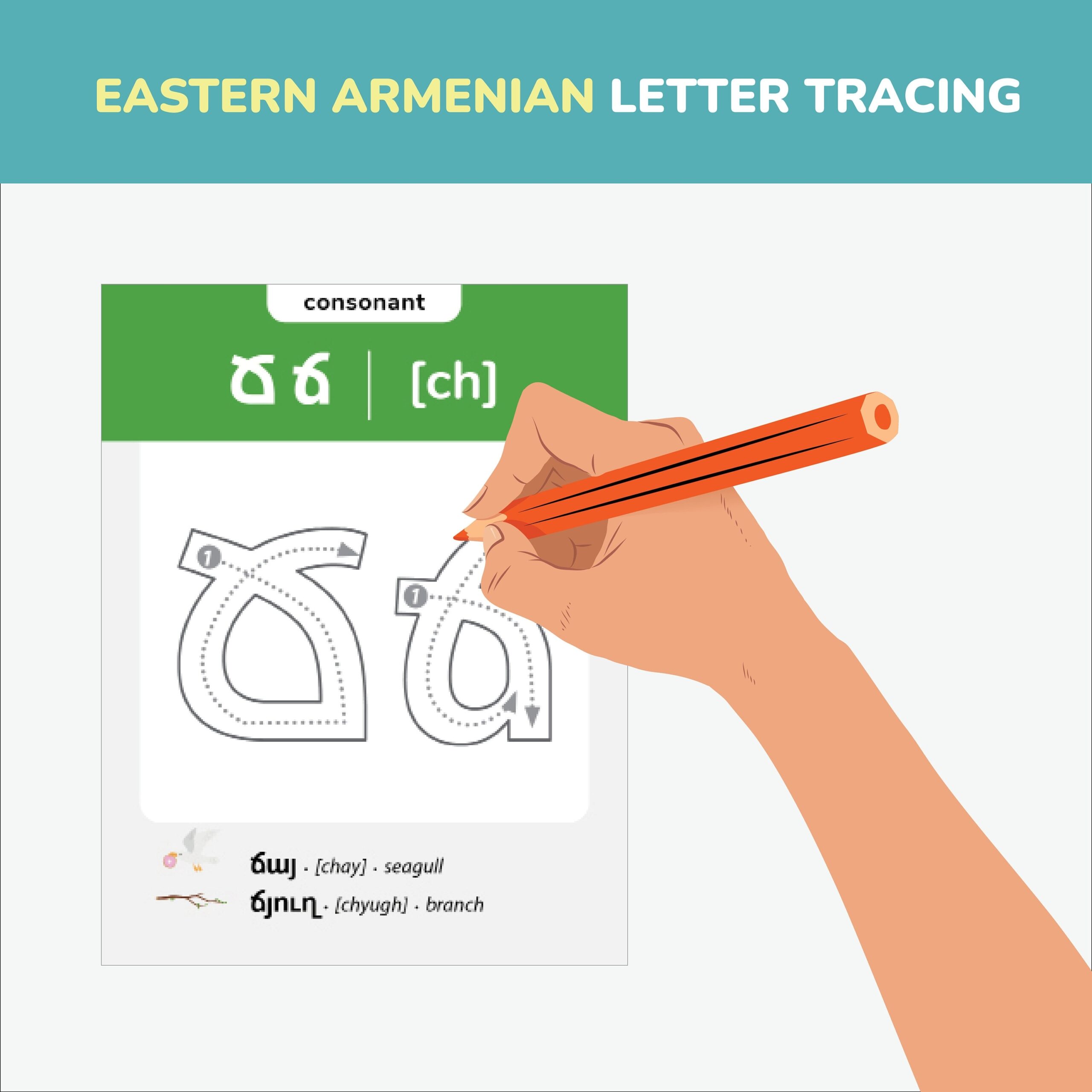 Eastern Armenian Alphabet Flashcards Tracing Armenian Letters Armenian Language Armenia Vocabulary Printable Bilingual Cards Pronunciations Etsy Eastern Armenian Alphabet Flashcards Tracing Armenian Letters Armenian Language Armenia Vocabulary Printable Bilingual Cards Pronunciations Etsy
