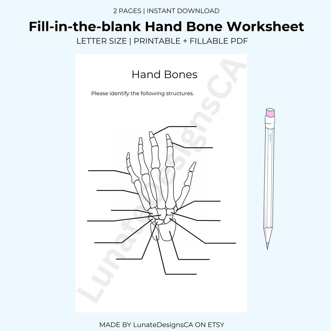 Fill In The Blank Anatomy Bones Worksheet HAND Answer Key Provided Kinesiology Student Nursing Student Science Student Resources Etsy Fill In The Blank Anatomy Bones Worksheet HAND Answer Key Provided Kinesiology Student Nursing Student Science Student Resources Etsy