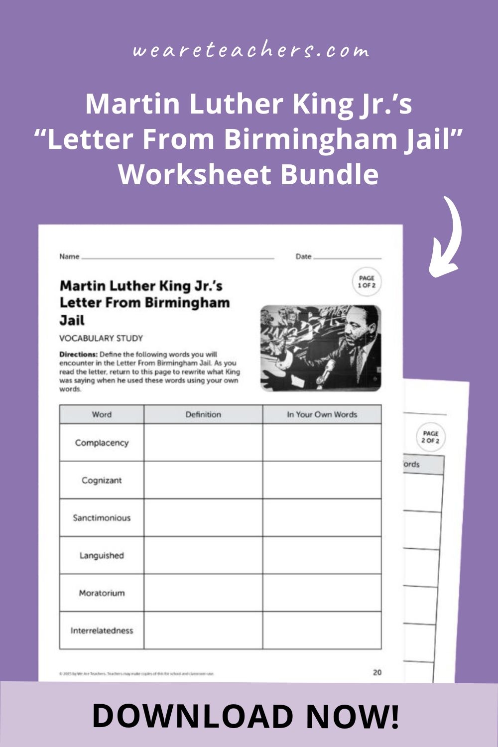 MLK Jr s Letter From Birmingham Jail Worksheet Bundle
