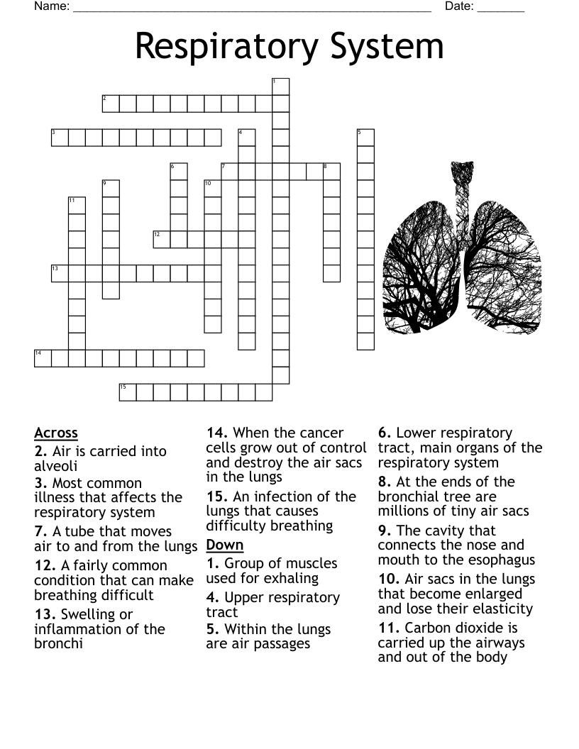 Respiratory System And Illnesses Worksheet WordMint Respiratory System And Illnesses Worksheet WordMint
