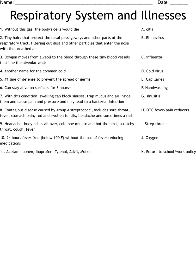 Respiratory System And Illnesses Worksheet WordMint