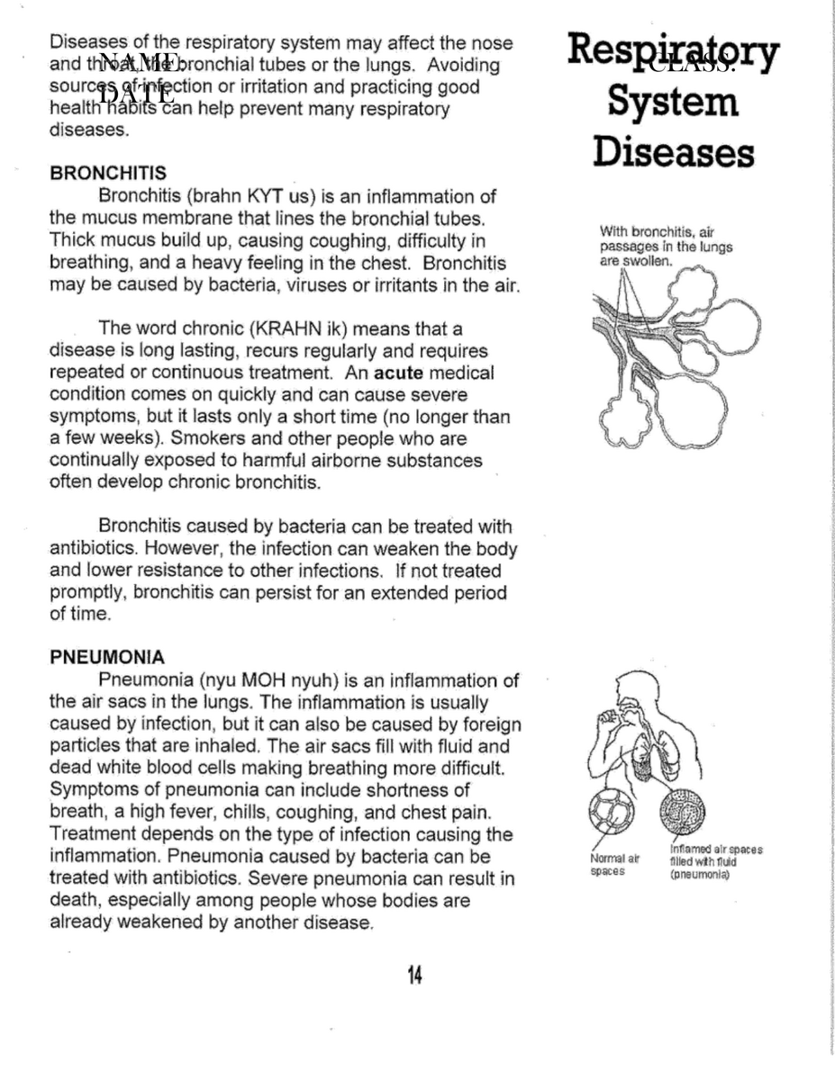 Respiratory System Diseases Worksheet Respiratory System And Illnesses Worksheet WordMint